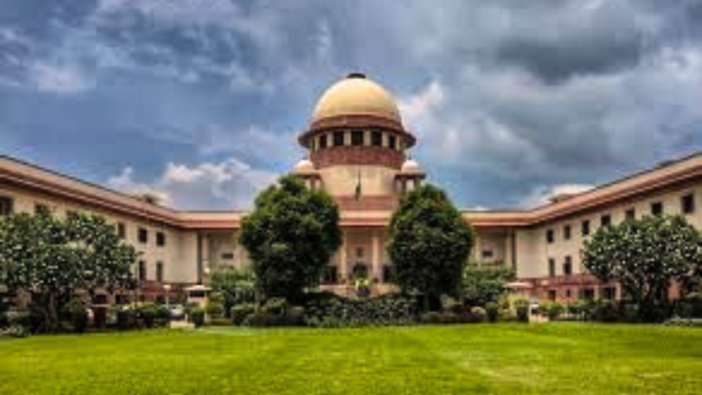 Untitled design 2024 08 22T161046.508