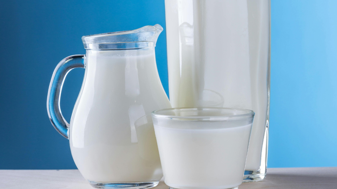 Untitled design 2024 08 23T140706.256