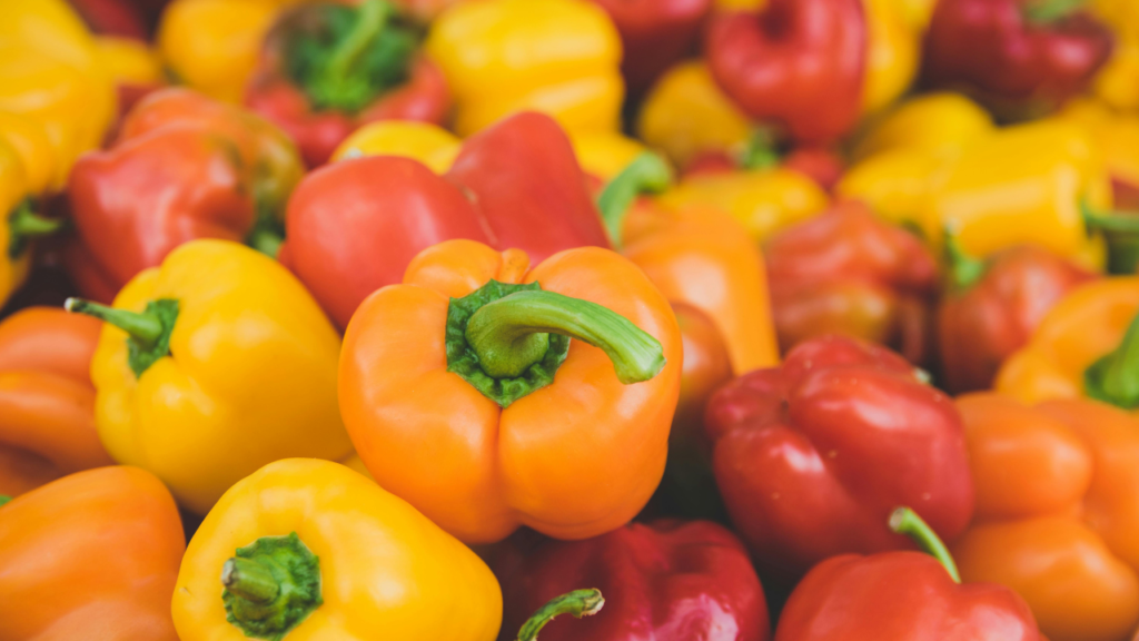 Untitled design 2024 08 28T090103.836