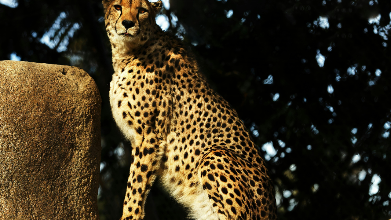 Untitled design 2024 08 28T125102.884