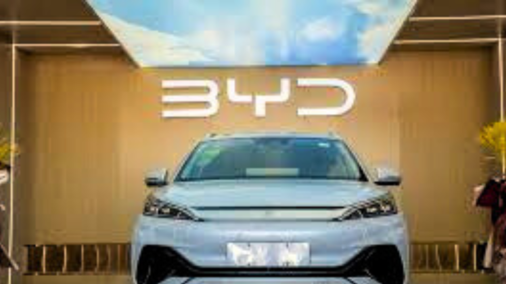 Untitled design 2024 08 29T111414.616