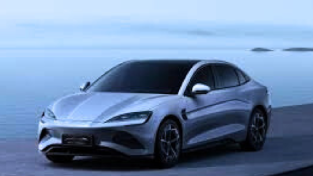 Untitled design 2024 08 29T111500.949 Untitled design 2024 08 29T111500.949