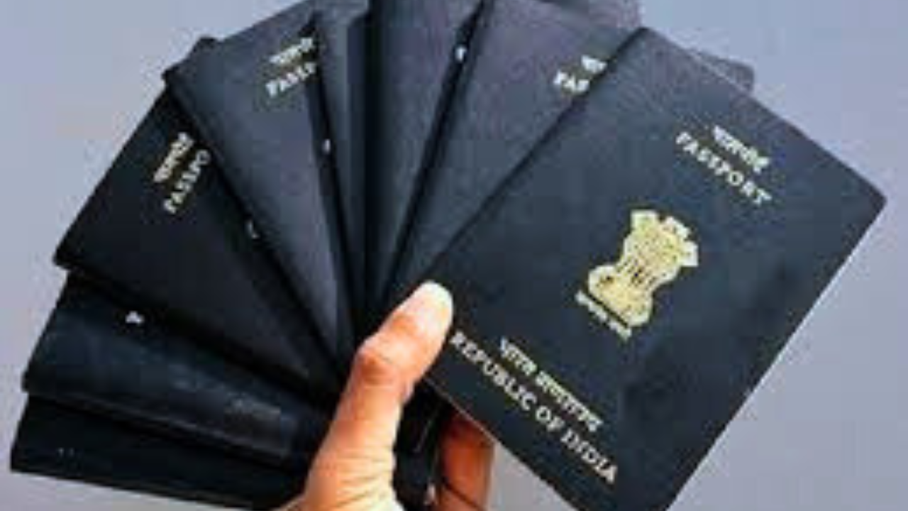 Untitled design 2024 08 29T150514.514