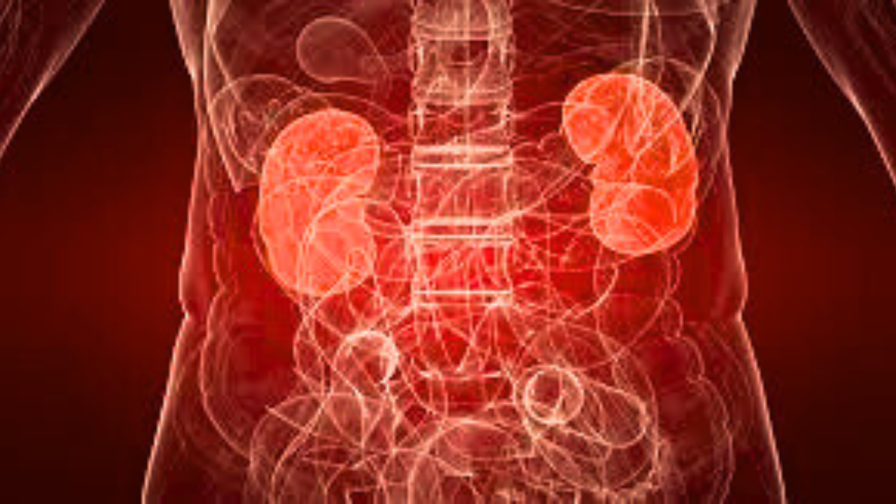 Untitled design 2024 08 30T141801.639