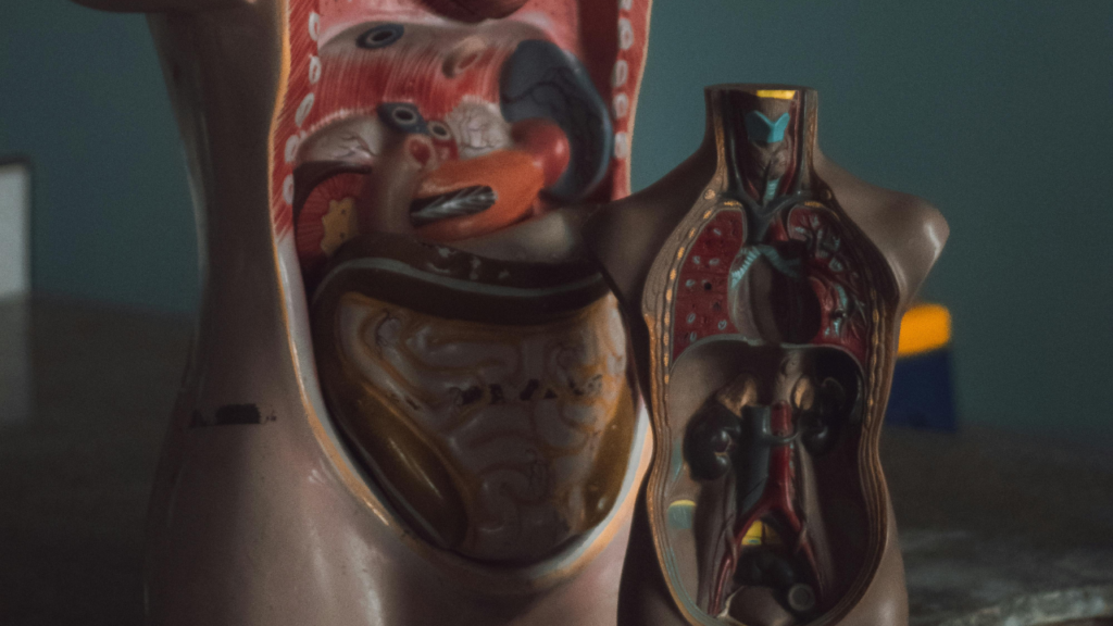 Untitled design 2024 08 31T100359.960