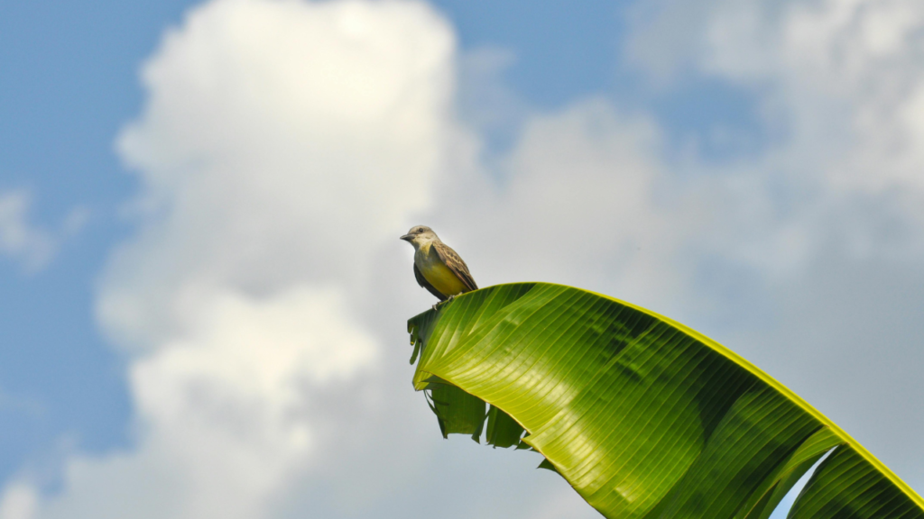 Untitled design 2024 08 31T122643.967 Untitled design 2024 08 31T122643.967