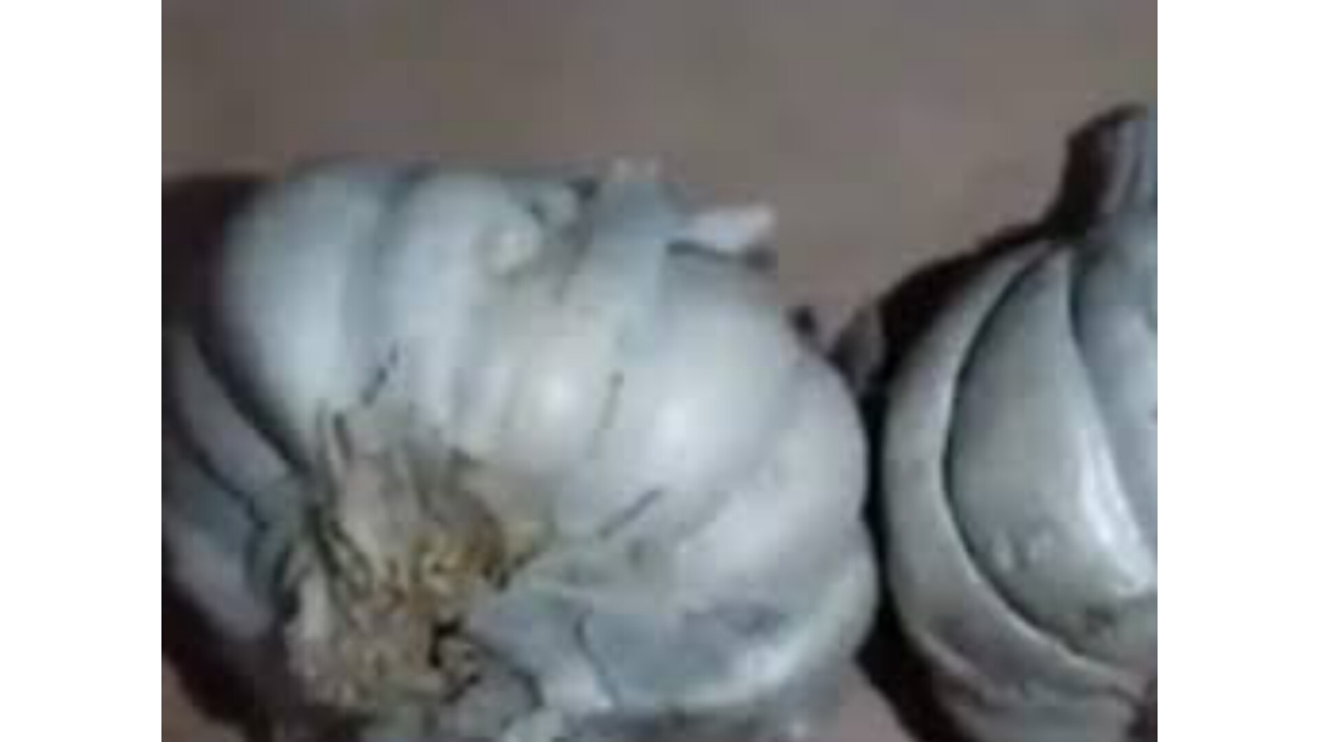Cemented Garlic