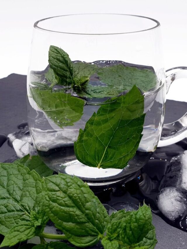 Basil water