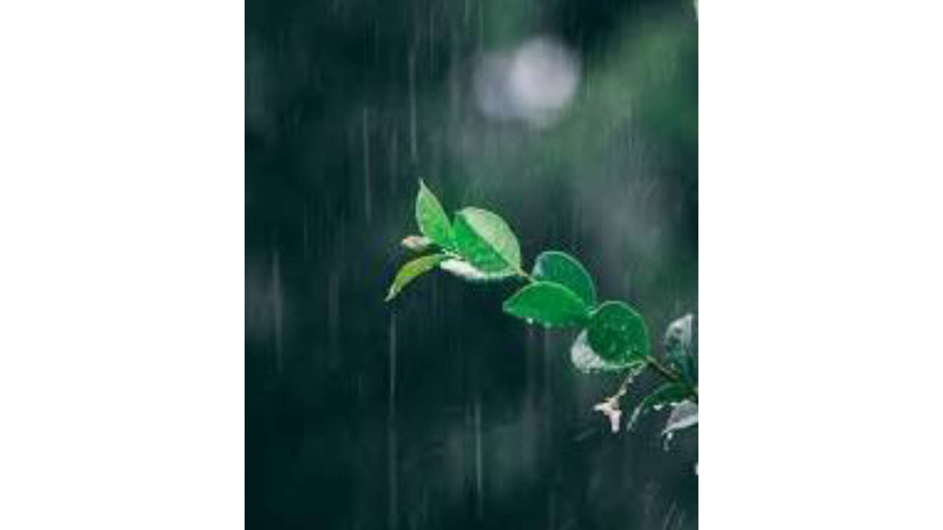 Heavy Rain in Delhi