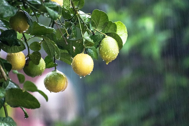 raining 5455688 640 raining-5455688_640