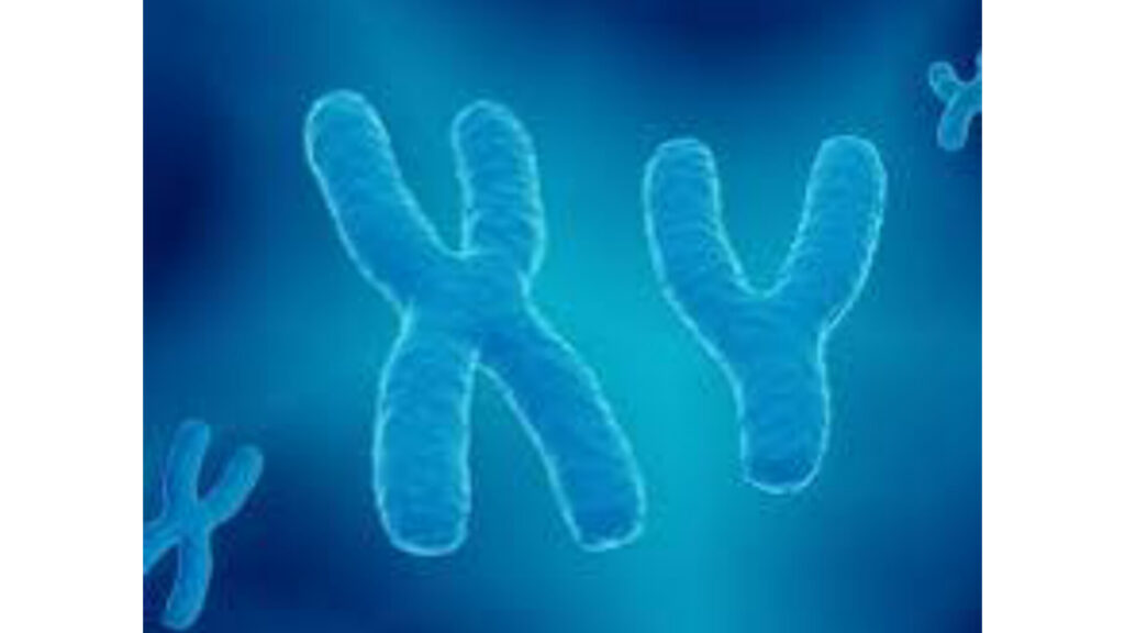 y2 y2