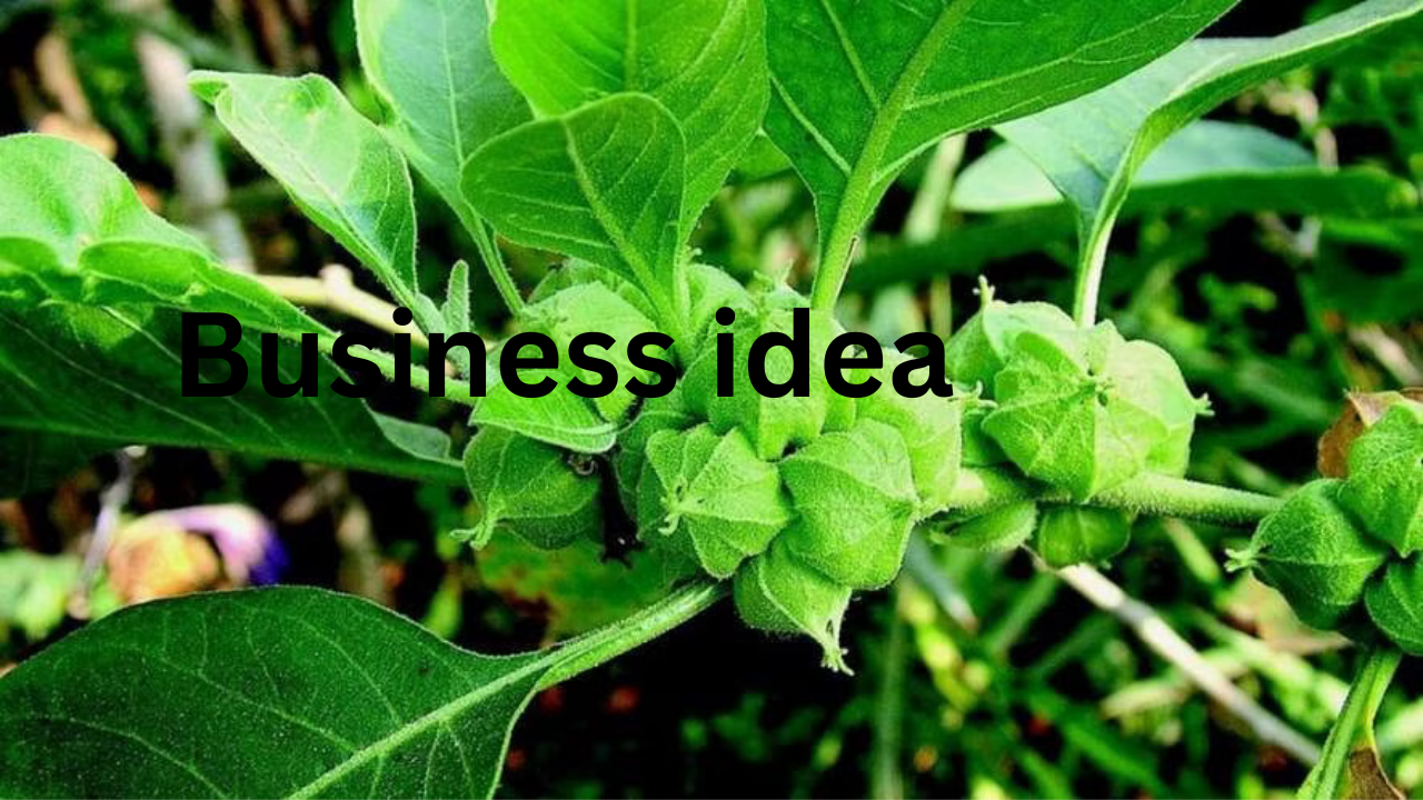 Business idea 47