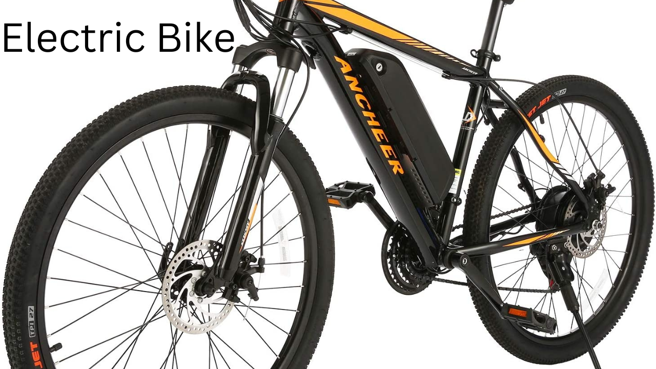 Electric Bike 1