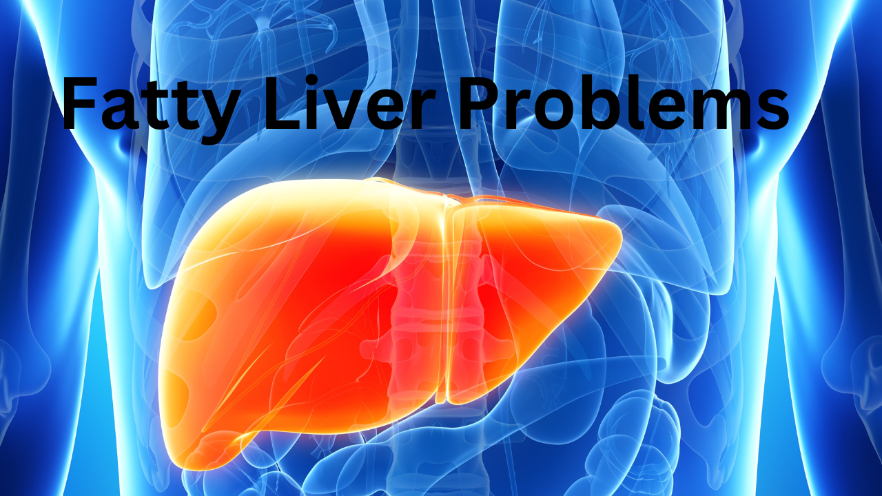 Fatty Liver 2