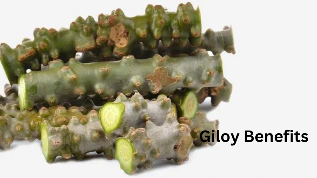 Giloy Benefits 4 Giloy Benefits 4