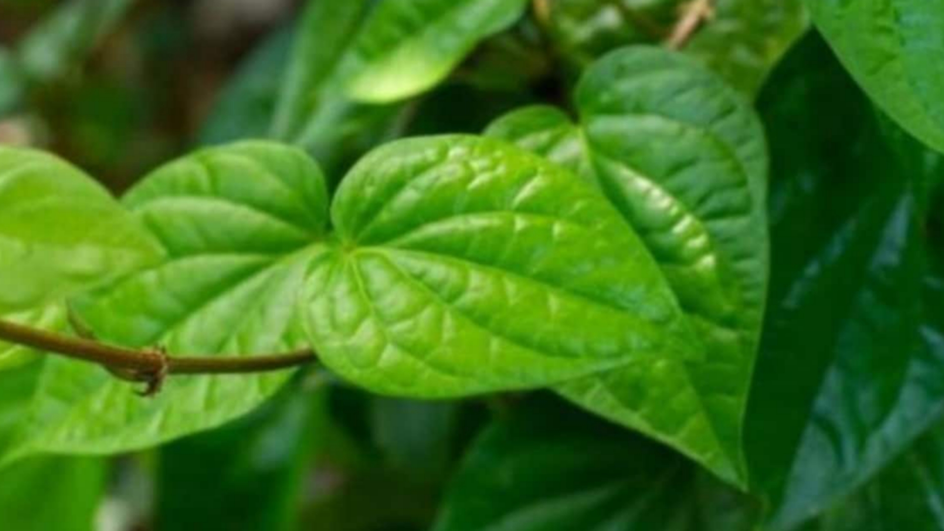 Picsart 24 09 19 12 54 09 769