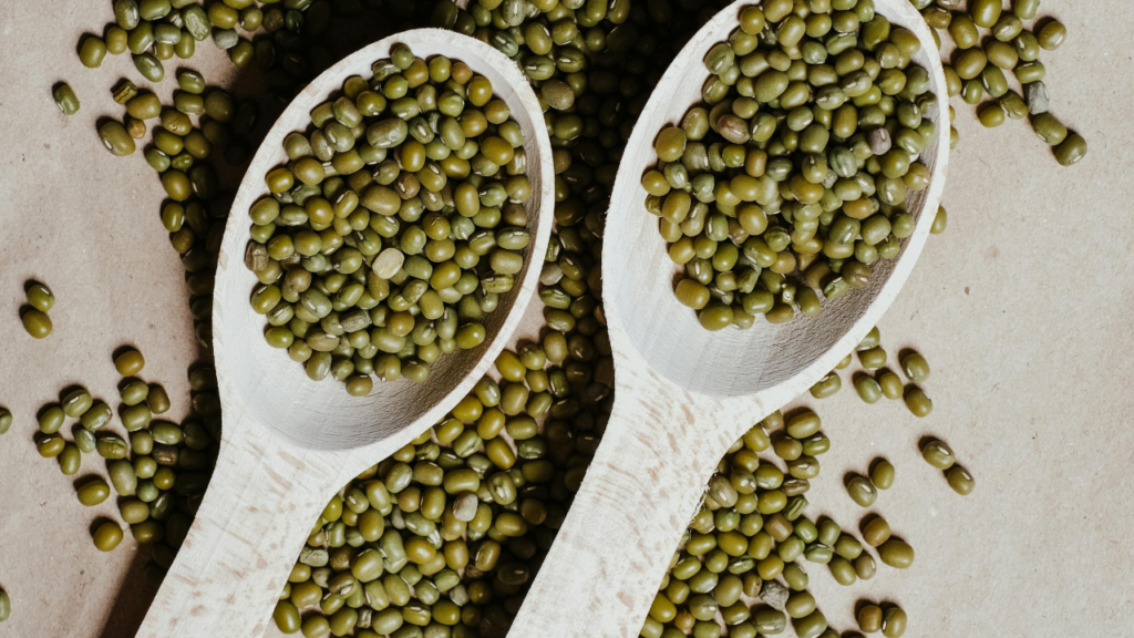 Untitled design 13 12