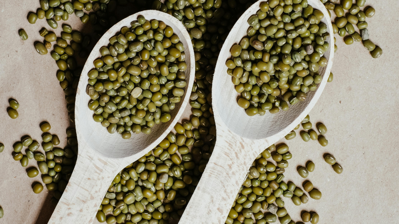 Untitled design 13 12