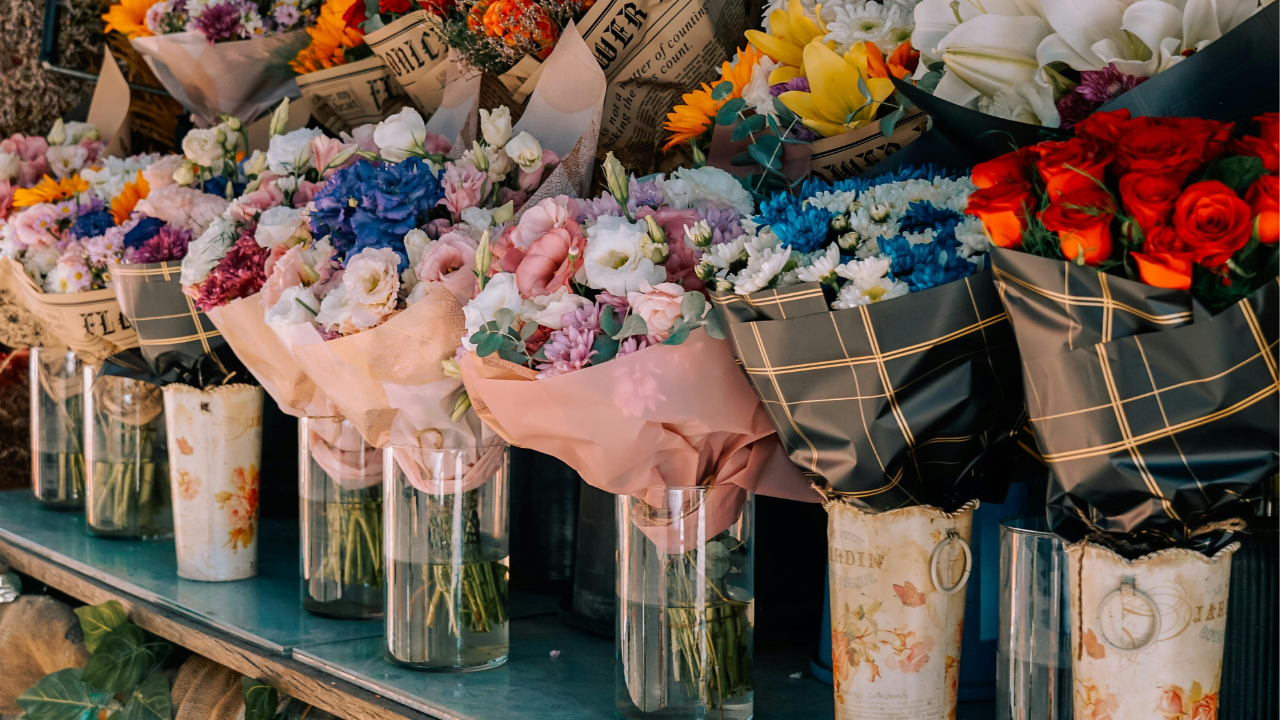 Untitled design 16 8