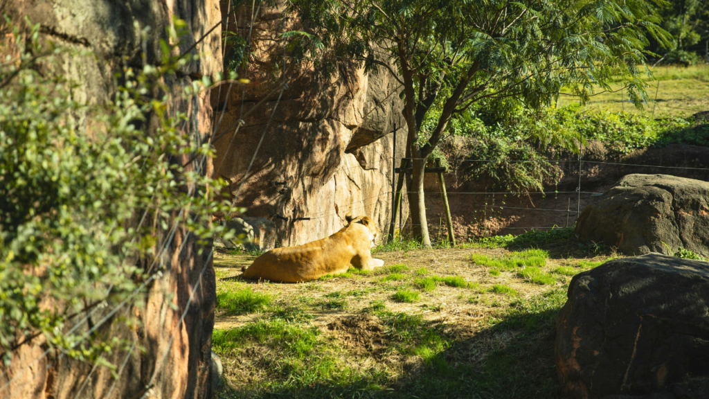 Untitled design 2024 09 01T142316.967 Untitled design 2024 09 01T142316.967