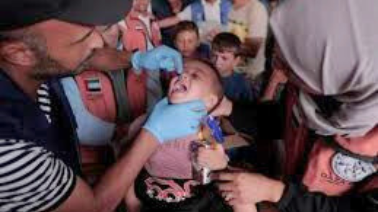 Untitled design 2024 09 05T095957.774