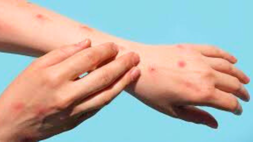 Untitled design 2024 09 07T104955.045