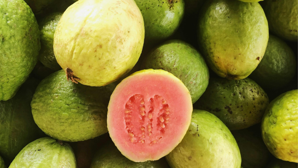 Untitled design 2024 09 07T151837.890