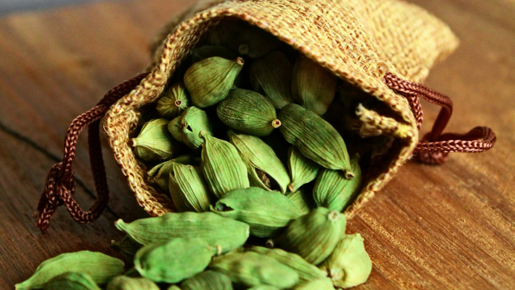 Untitled design 2024 09 08T124402.854