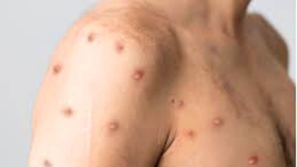 Untitled design 2024 09 09T103313.046