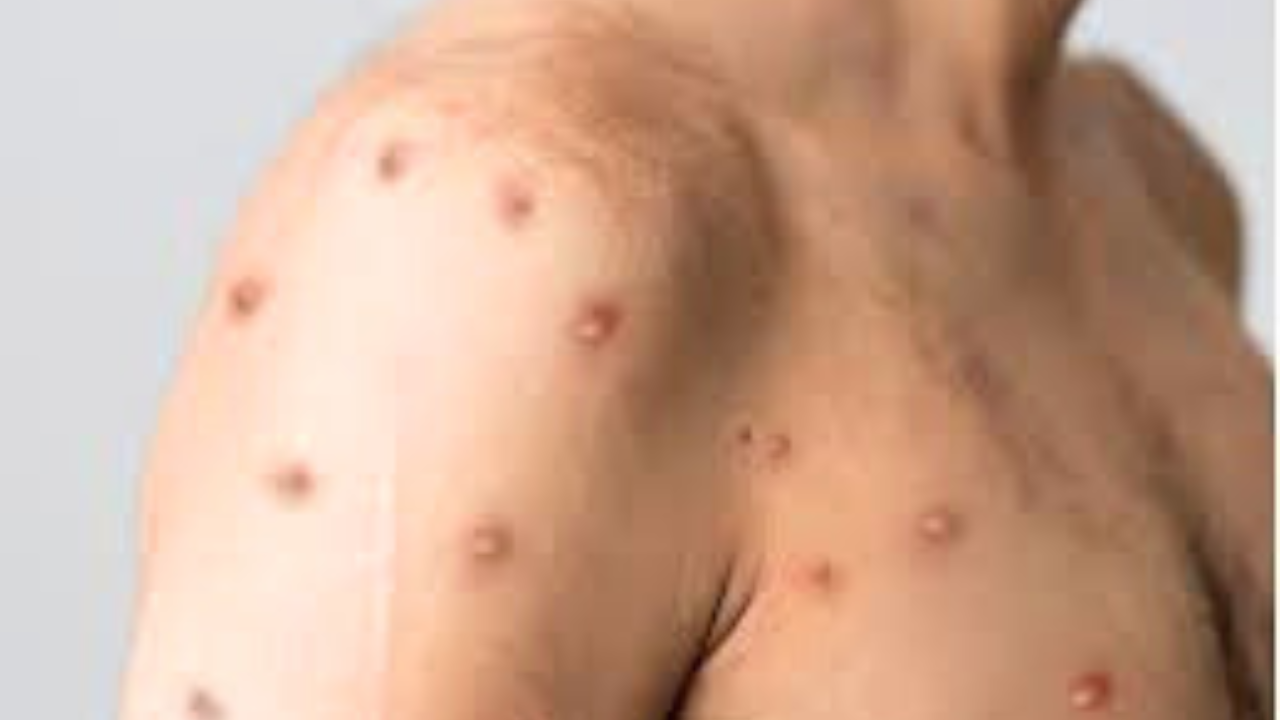 Untitled design 2024 09 09T103313.046