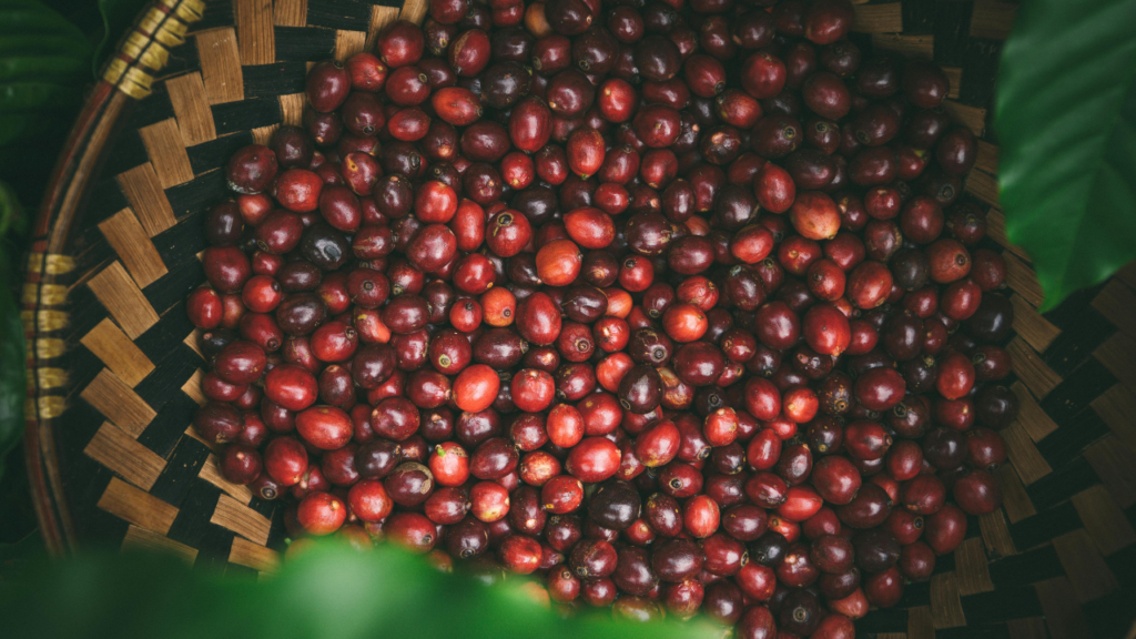 Untitled design 2024 09 10T151314.605