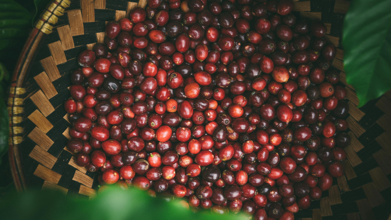 Untitled design 2024 09 10T151314.605