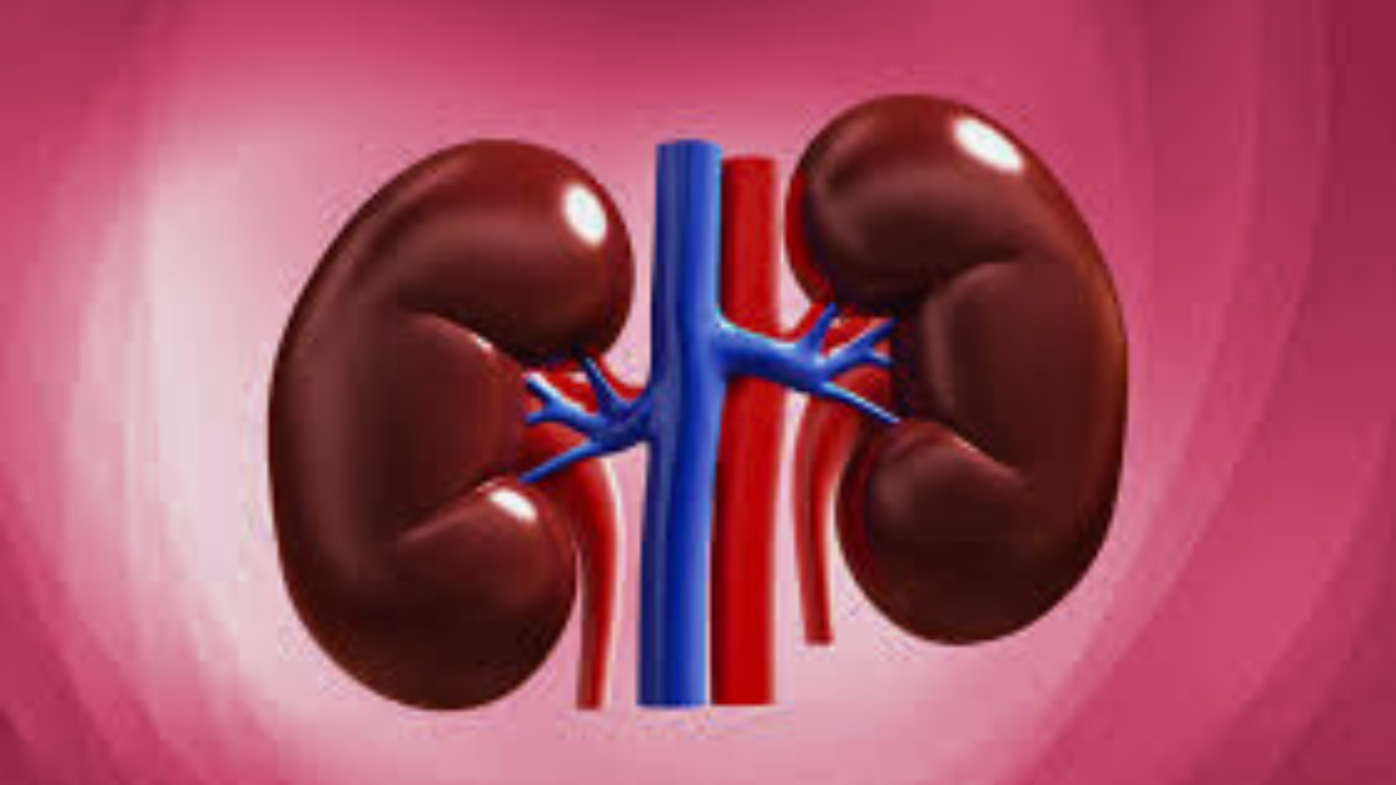 Untitled design 2024 09 14T100706.773