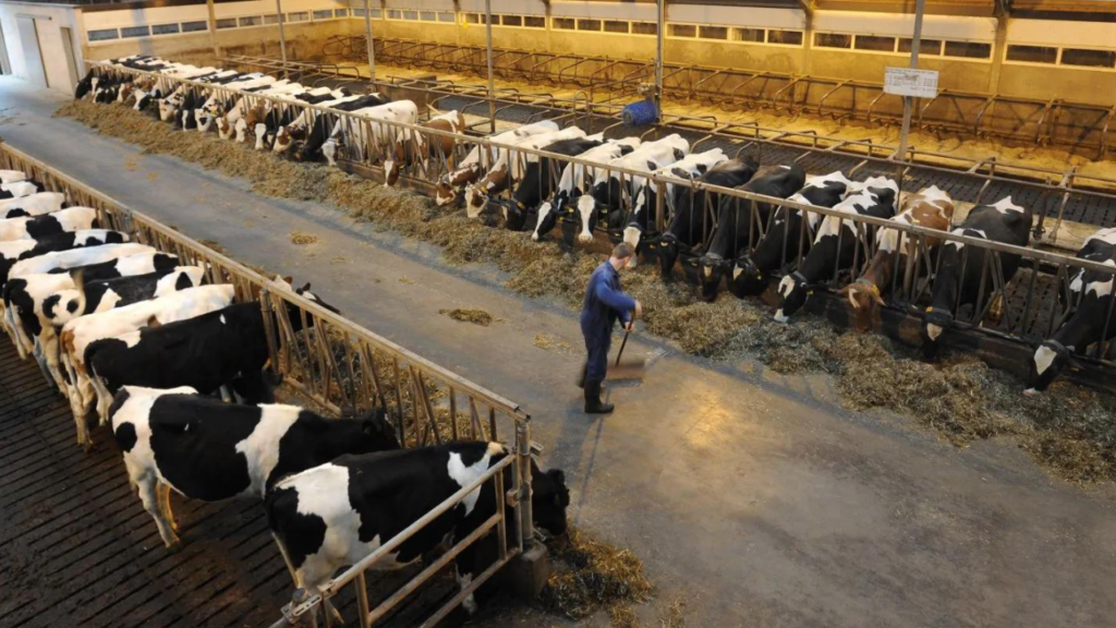 Untitled design 2024 09 21T150715.139 1