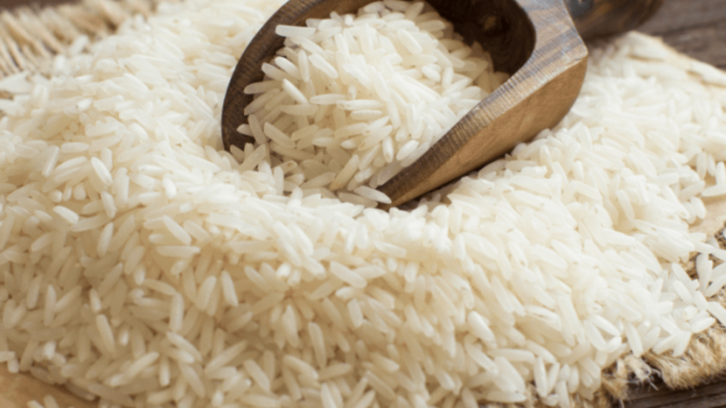 Untitled design 2024 09 30T124445.693