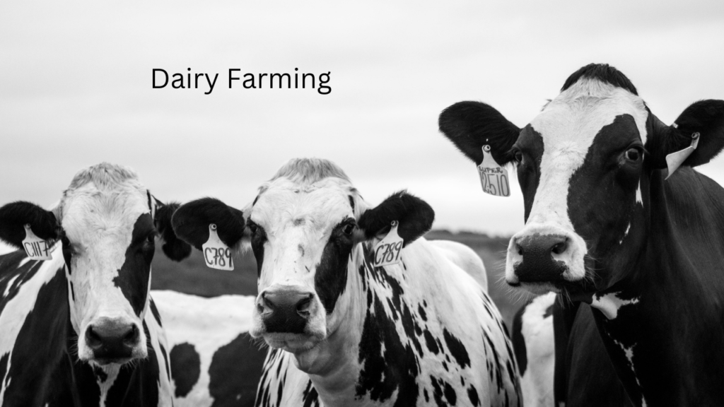 Untitled design 26 8