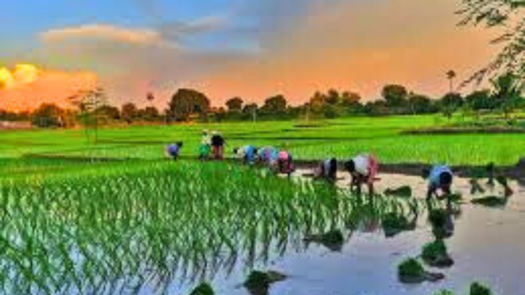 Untitled design 30 4 Untitled design 30 4