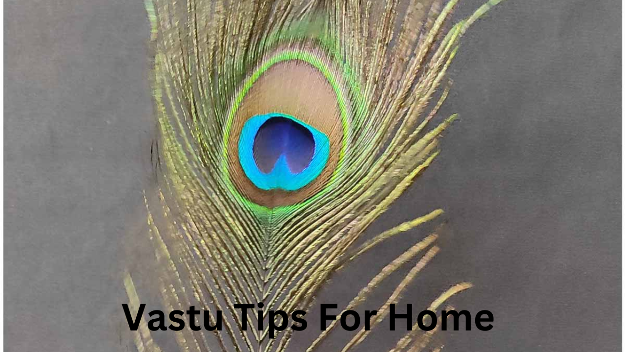 Vastu Tips For home