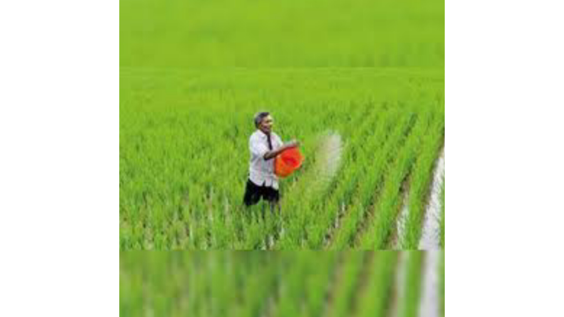 PM KISAAN YOJNA