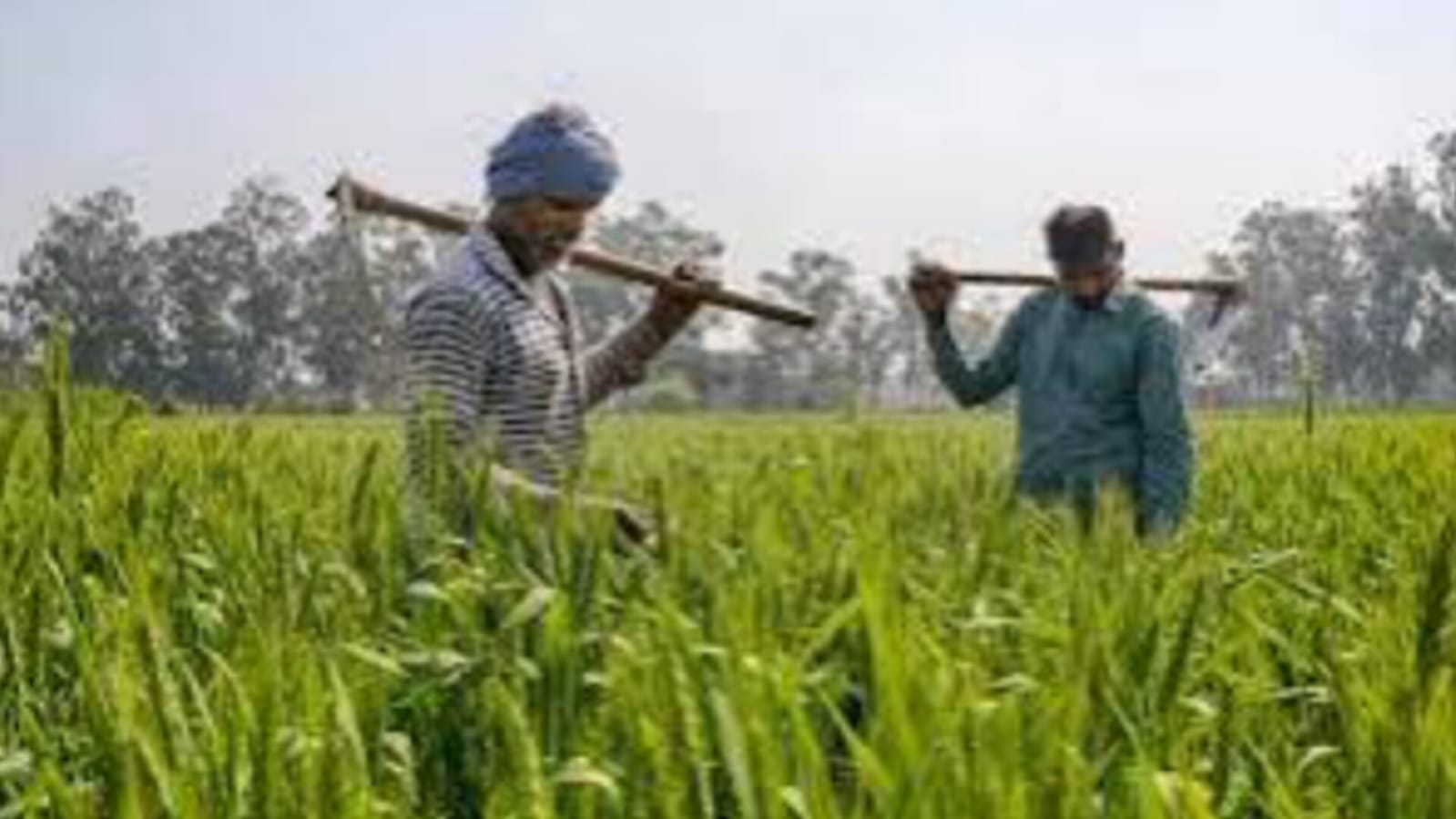Farmers