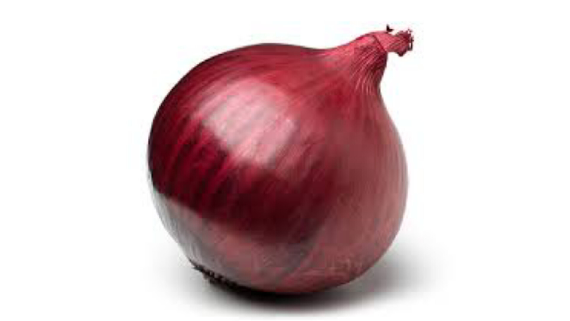 Onion Price