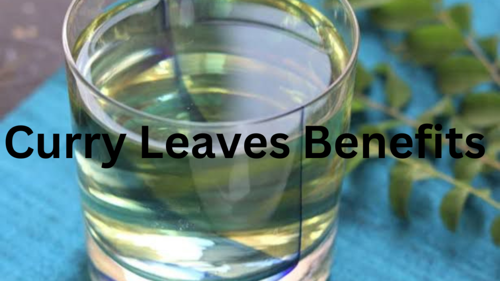 Curry Leaves Benefits 2 Curry Leaves Benefits 2