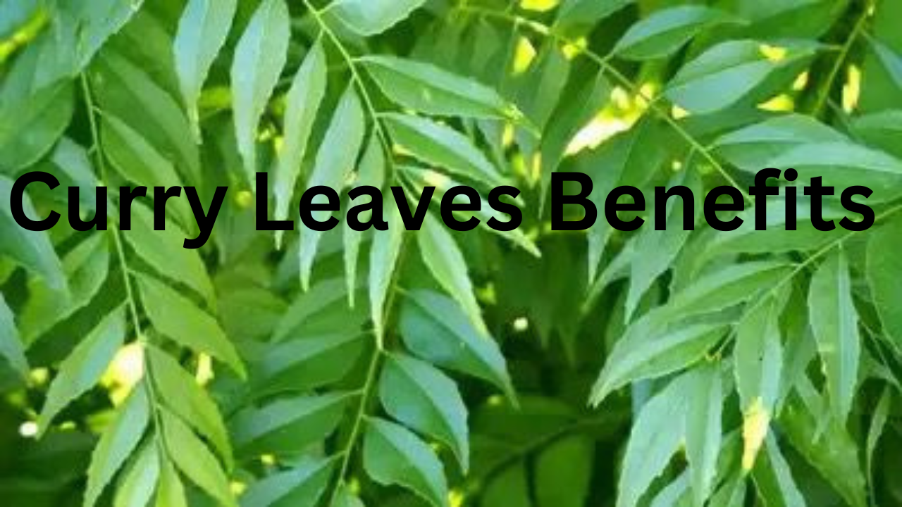 Curry Leaves Benefits