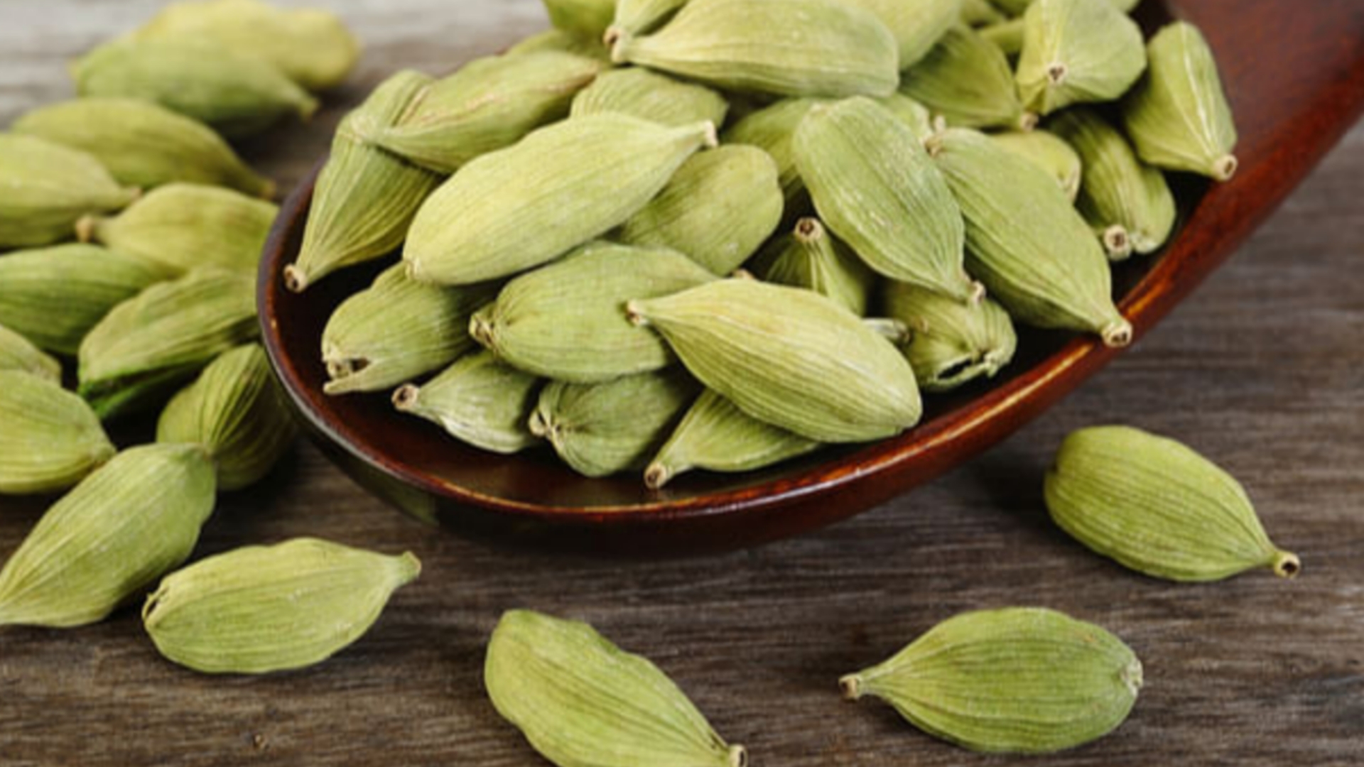 Picsart 24 10 11 15 49 32 286