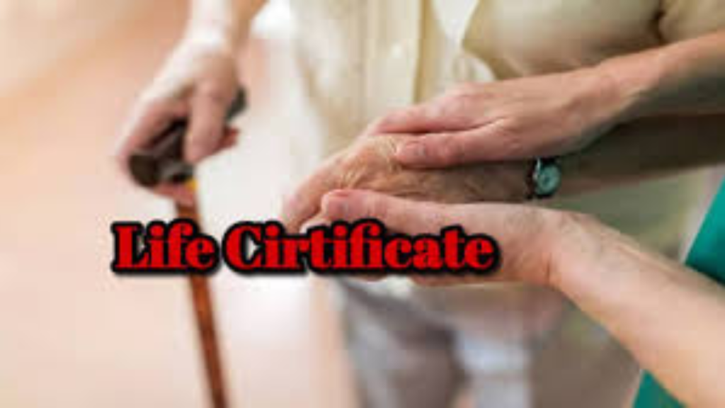 Untitled design 2024 10 06T151811.362 life certificate
