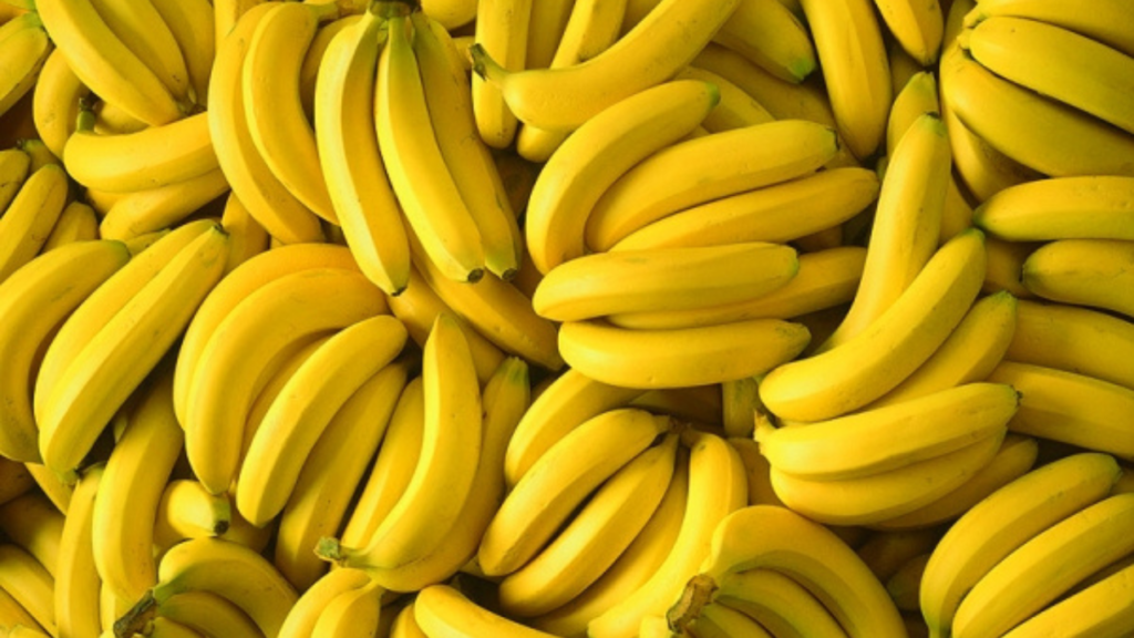 Untitled design 2024 10 08T121155.502 business ideas