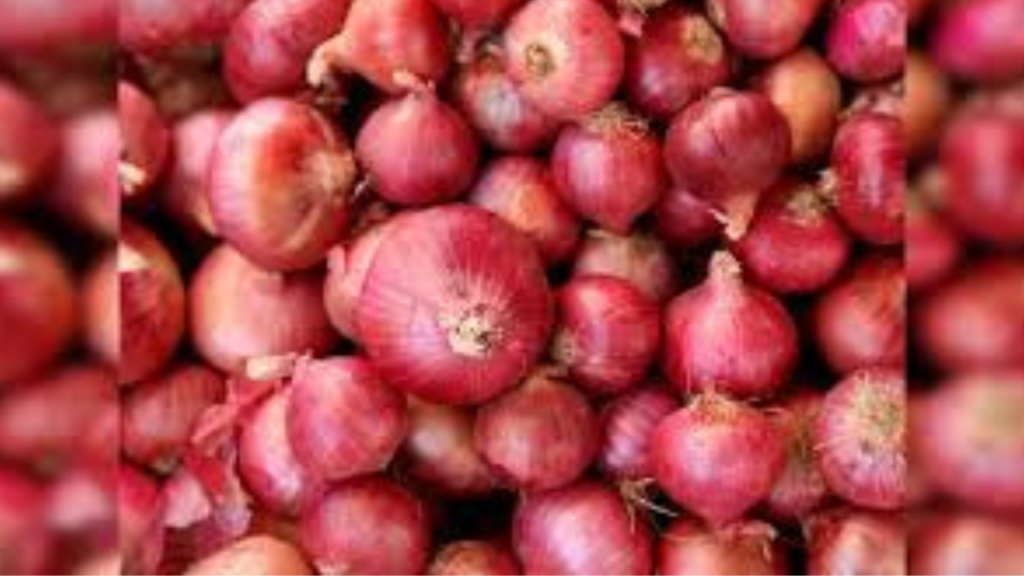 Untitled design 2024 10 12T152506.262 Untitled design 2024 10 12T152506.262