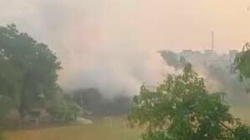 Untitled design 2024 10 20T164357.516 Untitled design 2024 10 20T164357.516