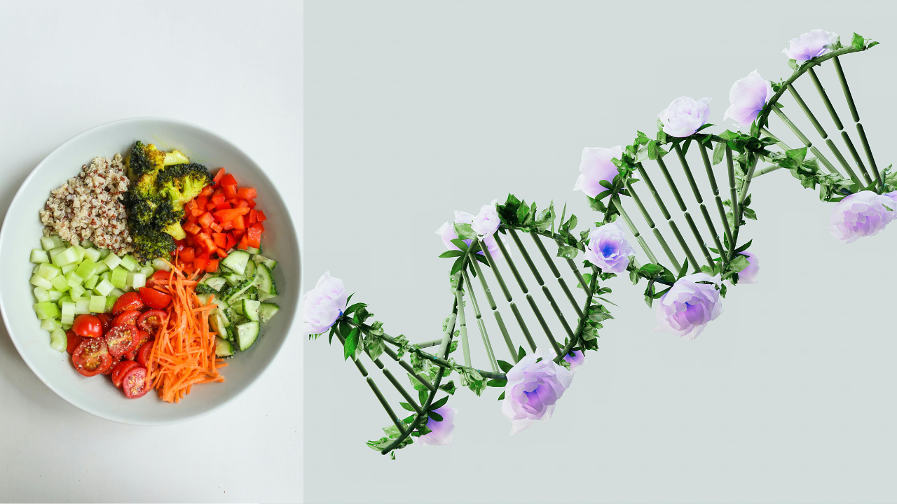 Untitled design 2024 10 20T165343.643