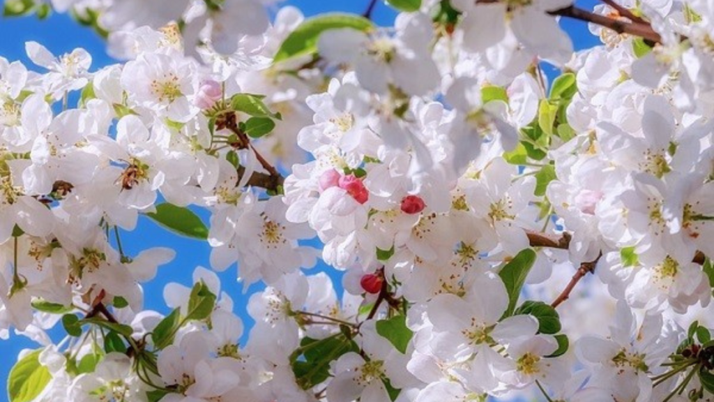 Untitled design 2024 10 20T171135.511